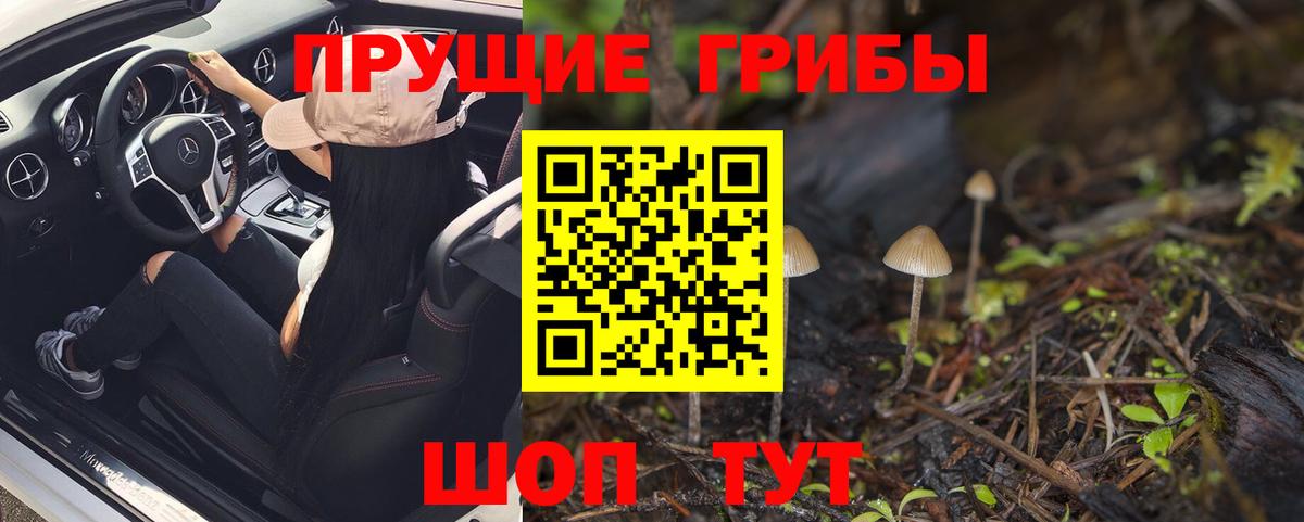 Псилоцибиновые грибы GOLDEN TEACHER  Вход с VPN  сколько стоит  Донской 